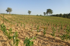 badula 3
