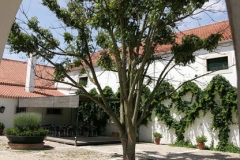 casalbranco7