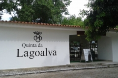 lagoalva6